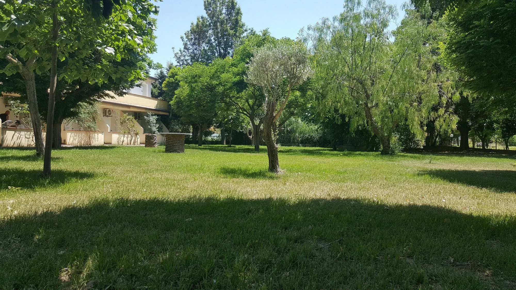 Ampio giardino alberato con prato verde e edificio giallo sullo sfondo