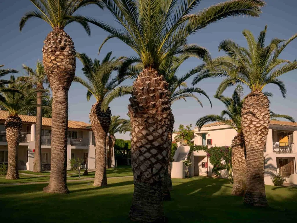 VILLAGGIO CLUB BAIA DEL SOLE