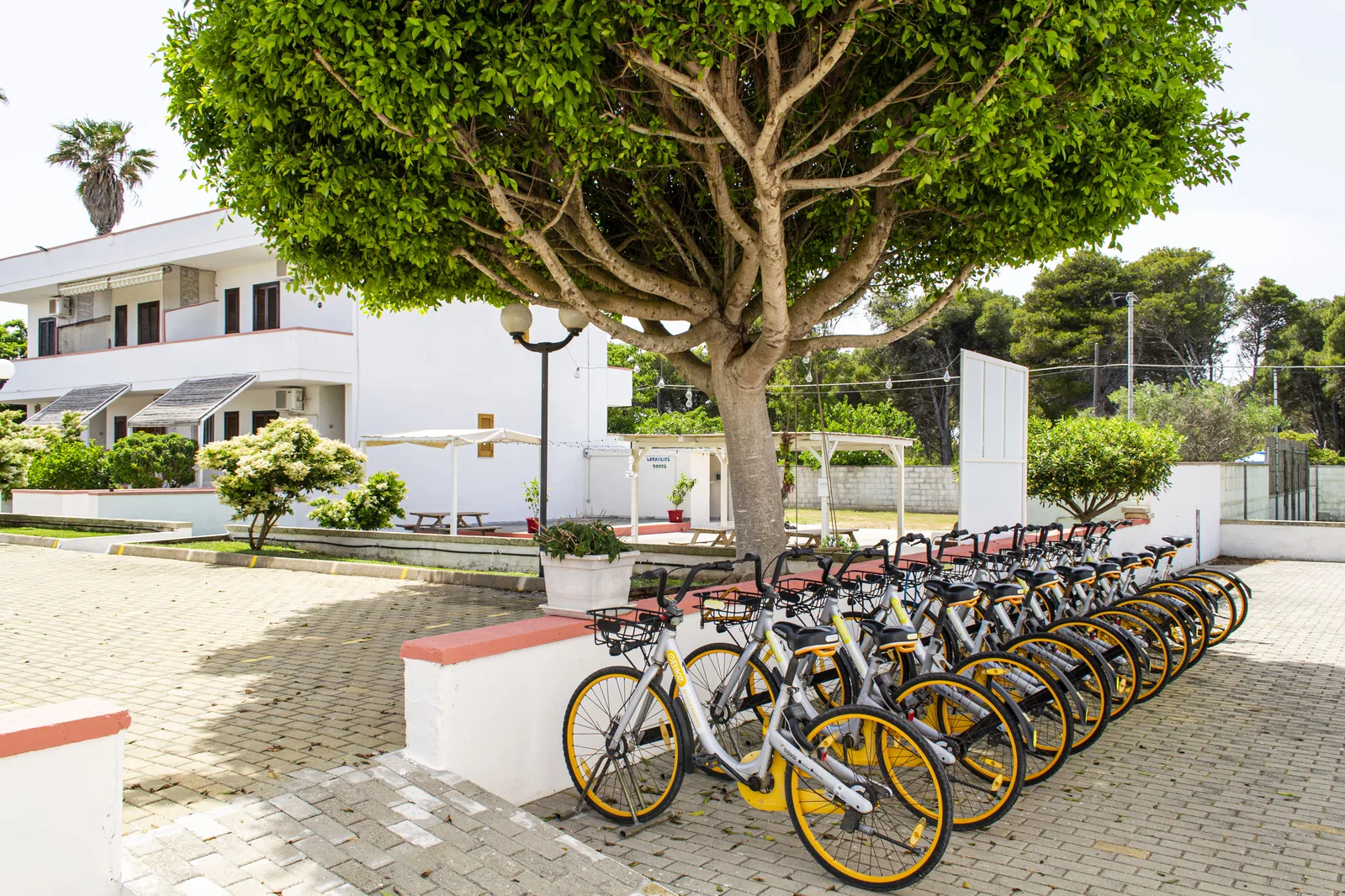 RESIDENCE TRE PALME
