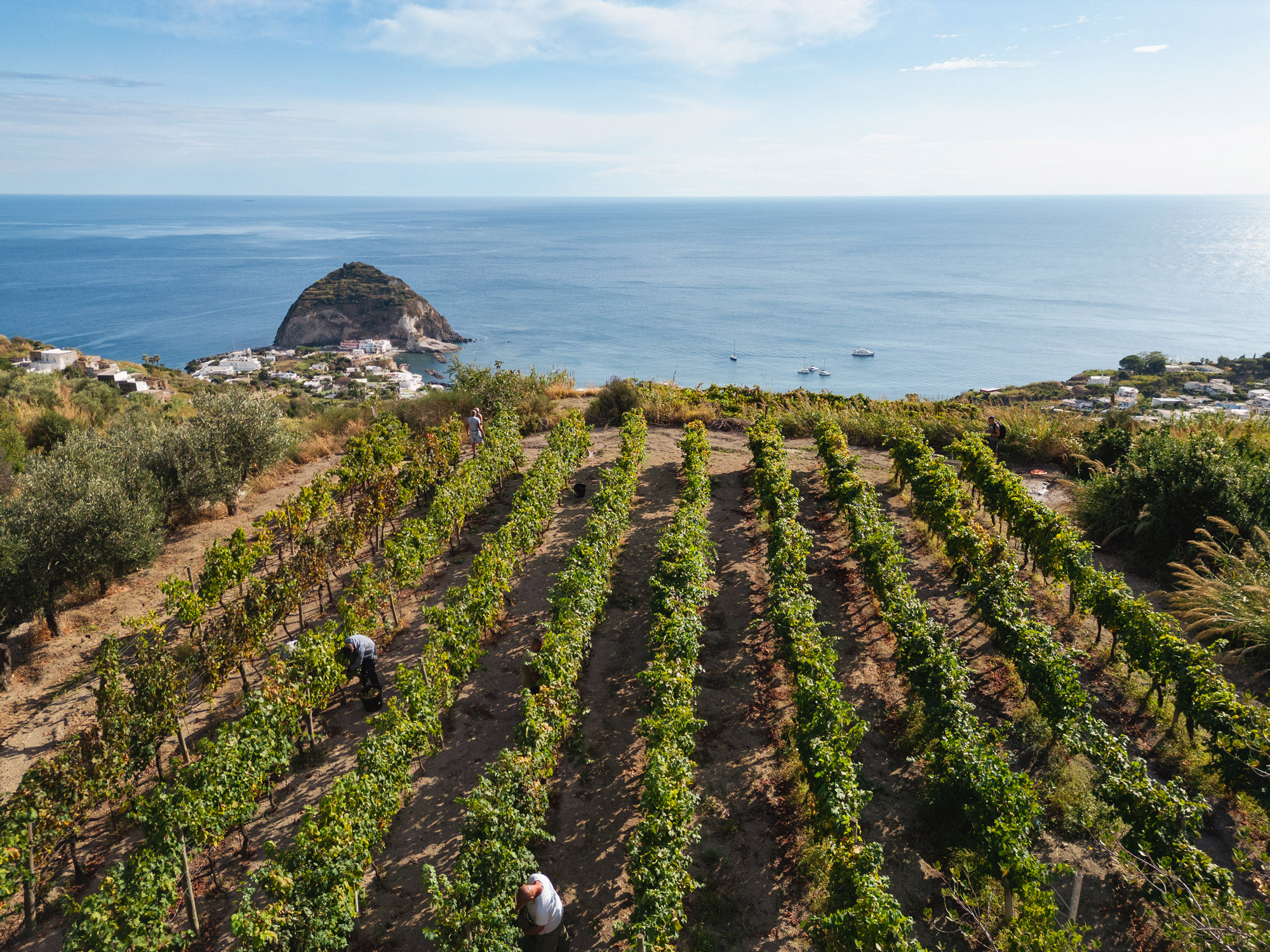 Punta Chiarito Resort Ischia — foto 7