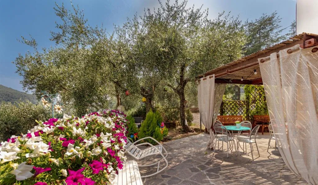 Giardino esterno con pergolato, fiori rosa e bianchi e zona pranzo tra ulivi