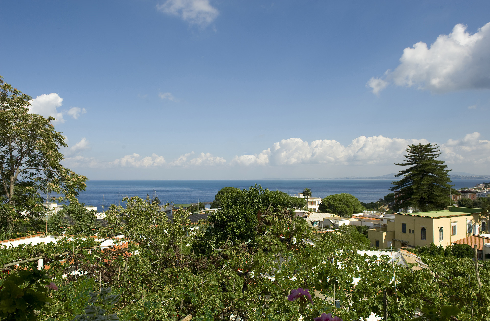 Hotel Hotel Matarese a Casamicciola Terme
